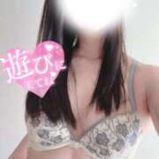 ヒメ日記 2025/05/30 15:10 投稿 ユリ OLの品格 クラブアッシュ