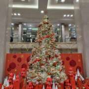 ヒメ日記 2024/12/24 08:46 投稿 葉月 すずか 京都ホットポイント