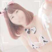 ヒメ日記 2025/04/16 14:59 投稿 葉月 すずか 京都ホットポイント