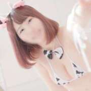 ヒメ日記 2025/04/24 15:46 投稿 葉月 すずか 京都ホットポイント