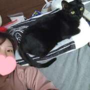 ヒメ日記 2025/04/29 20:48 投稿 葉月 すずか 京都ホットポイント