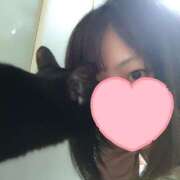 ヒメ日記 2025/05/12 15:24 投稿 葉月 すずか 京都ホットポイント