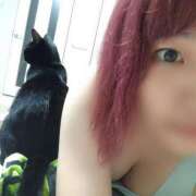 ヒメ日記 2025/06/10 22:32 投稿 葉月 すずか 京都ホットポイント