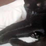 ヒメ日記 2025/07/12 18:18 投稿 葉月 すずか 京都ホットポイント