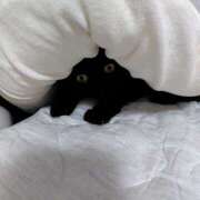 ヒメ日記 2025/08/31 01:02 投稿 葉月 すずか 京都ホットポイント