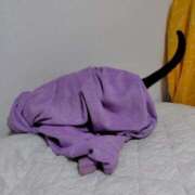 ヒメ日記 2025/09/03 15:04 投稿 葉月 すずか 京都ホットポイント