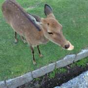 ヒメ日記 2025/09/30 12:07 投稿 葉月 すずか 京都ホットポイント