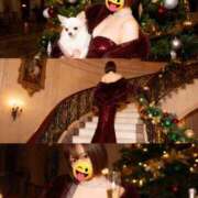 ヒメ日記 2025/11/22 00:57 投稿 葉月 すずか 京都ホットポイント