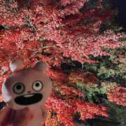 ヒメ日記 2025/12/01 15:51 投稿 葉月 すずか 京都ホットポイント