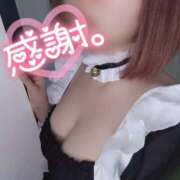 ヒメ日記 2026/01/27 09:15 投稿 葉月 すずか 京都ホットポイント