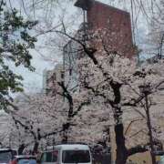 ヒメ日記 2026/03/30 15:13 投稿 葉月 すずか 京都ホットポイント