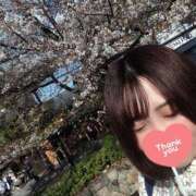 ヒメ日記 2026/04/06 08:41 投稿 葉月 すずか 京都ホットポイント