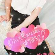 ヒメ日記 2024/12/29 17:06 投稿 ゆきの 奥鉄オクテツ東京店（デリヘル市場）