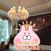 ヒメ日記 2024/12/30 08:13 投稿 ゆきの 奥鉄オクテツ東京店（デリヘル市場）