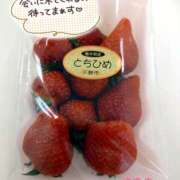 ヒメ日記 2025/03/07 16:30 投稿 ゆきの 奥鉄オクテツ東京店（デリヘル市場）