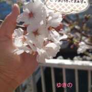 ヒメ日記 2025/04/04 16:52 投稿 ゆきの 奥鉄オクテツ東京店（デリヘル市場）