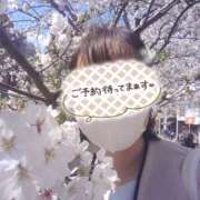 ヒメ日記 2025/04/14 08:15 投稿 ゆきの 奥鉄オクテツ東京店（デリヘル市場）