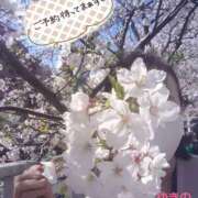 ヒメ日記 2025/04/18 15:13 投稿 ゆきの 奥鉄オクテツ東京店（デリヘル市場）