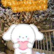 ヒメ日記 2025/07/03 12:06 投稿 ゆきの 奥鉄オクテツ東京店（デリヘル市場）