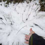 ヒメ日記 2026/02/08 15:07 投稿 ゆきの 奥鉄オクテツ東京店（デリヘル市場）