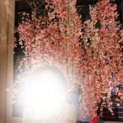 ヒメ日記 2026/03/27 07:42 投稿 ゆきの 奥鉄オクテツ東京店（デリヘル市場）