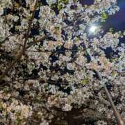 ヒメ日記 2026/04/07 18:54 投稿 ゆきの 奥鉄オクテツ東京店（デリヘル市場）