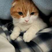 ヒメ日記 2024/12/29 11:55 投稿 くらら ダイスキ