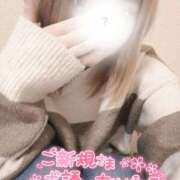 ヒメ日記 2025/01/12 16:37 投稿 くらら ダイスキ