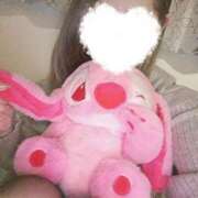 ヒメ日記 2025/01/14 16:40 投稿 くらら ダイスキ