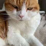 ヒメ日記 2025/06/20 12:16 投稿 くらら ダイスキ