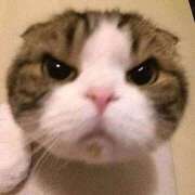 ヒメ日記 2025/06/21 07:04 投稿 くらら ダイスキ