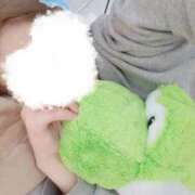 ヒメ日記 2025/07/26 15:26 投稿 くらら ダイスキ