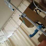 ヒメ日記 2025/10/14 08:16 投稿 くらら ダイスキ