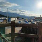 ヒメ日記 2025/10/29 15:37 投稿 くらら ダイスキ