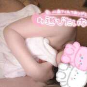 ヒメ日記 2025/12/31 02:14 投稿 くらら ダイスキ