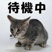 ヒメ日記 2025/10/04 17:53 投稿 ふたば Ace(エース)