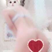 ヒメ日記 2025/12/11 11:19 投稿 ふたば Ace(エース)