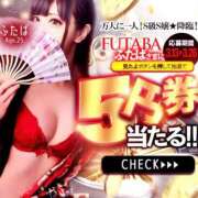 ヒメ日記 2026/03/13 09:30 投稿 ふたば Ace(エース)