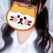 ヒメ日記 2026/04/29 19:30 投稿 ふたば Ace(エース)