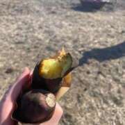 ヒメ日記 2025/03/02 15:31 投稿 くみ 渋谷じゃっくす