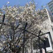 ヒメ日記 2025/03/27 22:03 投稿 くみ 渋谷じゃっくす