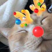 ヒメ日記 2024/12/20 17:20 投稿 ひなみ スピードエコ天王寺店