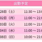 ヒメ日記 2026/02/25 09:40 投稿 ひなみ スピードエコ天王寺店