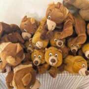 ヒメ日記 2025/02/09 12:24 投稿 桜木 おとなのわいせつ倶楽部 池袋店