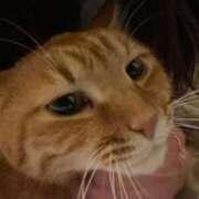 ヒメ日記 2025/02/21 16:34 投稿 桜木 おとなのわいせつ倶楽部 池袋店