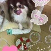 ヒメ日記 2025/06/24 18:38 投稿 さゆり マダムハンズ