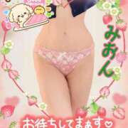 ヒメ日記 2025/02/26 07:43 投稿 みおん 熟女の風俗最終章 新宿店