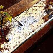 ヒメ日記 2025/03/05 01:51 投稿 みおん 熟女の風俗最終章 新宿店