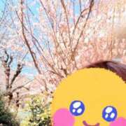 ヒメ日記 2025/03/11 13:22 投稿 みおん 熟女の風俗最終章 新宿店