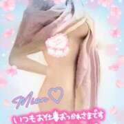 ヒメ日記 2025/03/14 18:22 投稿 みおん 熟女の風俗最終章 新宿店